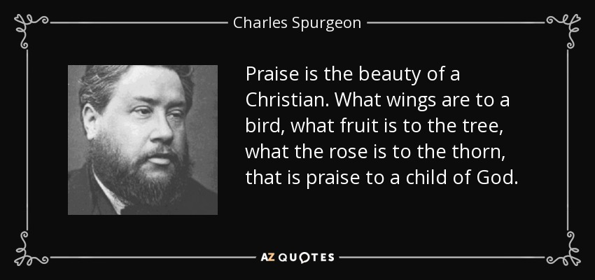 Praise is the beauty of a Christian. What wings are to a bird, what fruit is to the tree, what the rose is to the thorn, that is praise to a child of God. - Charles Spurgeon