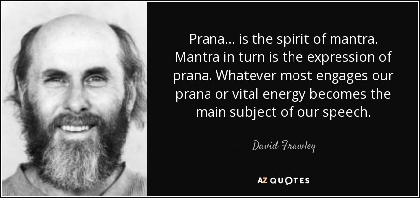 Prana... is the spirit of mantra. Mantra in turn is the expression of prana. Whatever most engages our prana or vital energy becomes the main subject of our speech. - David Frawley