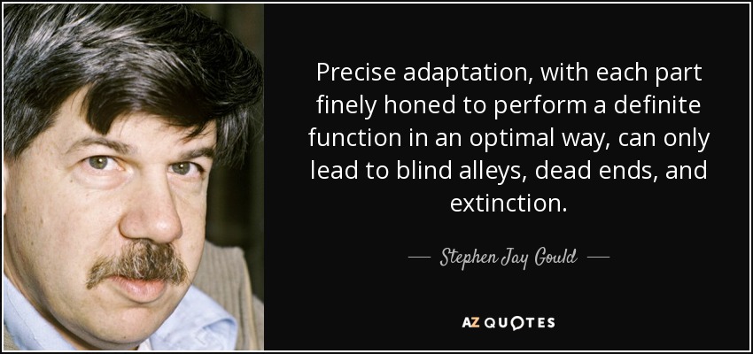 Precise adaptation, with each part finely honed to perform a definite function in an optimal way, can only lead to blind alleys, dead ends, and extinction. - Stephen Jay Gould