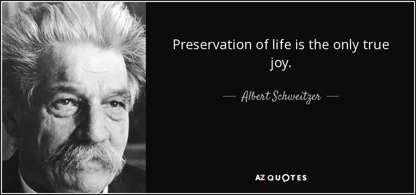 Preservation of life is the only true joy. - Albert Schweitzer