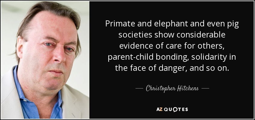 Primate and elephant and even pig societies show considerable evidence of care for others, parent-child bonding, solidarity in the face of danger, and so on. - Christopher Hitchens