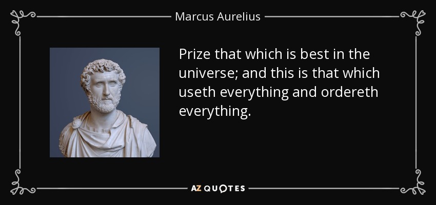 Prize that which is best in the universe; and this is that which useth everything and ordereth everything. - Marcus Aurelius