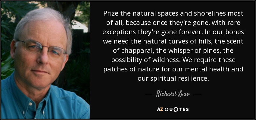 Prize the natural spaces and shorelines most of all, because once they're gone, with rare exceptions they're gone forever. In our bones we need the natural curves of hills, the scent of chapparal, the whisper of pines, the possibility of wildness. We require these patches of nature for our mental health and our spiritual resilience. - Richard Louv