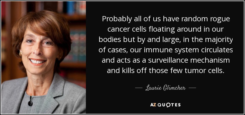 Probably all of us have random rogue cancer cells floating around in our bodies but by and large, in the majority of cases, our immune system circulates and acts as a surveillance mechanism and kills off those few tumor cells. - Laurie Glimcher
