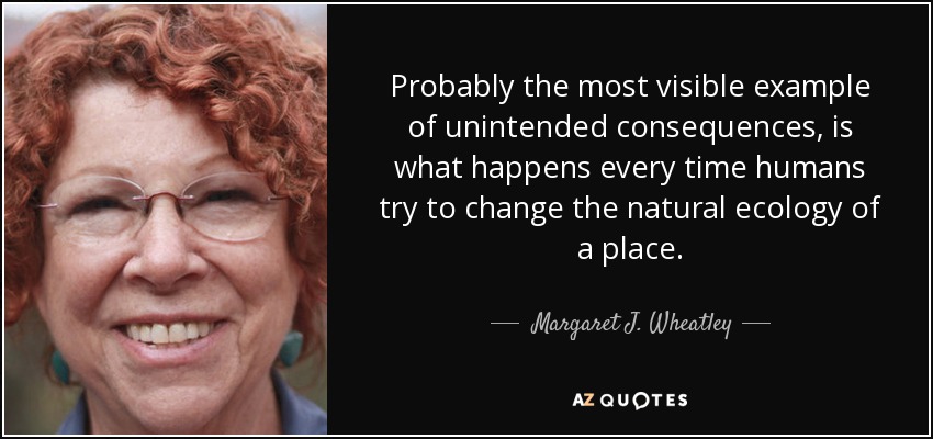 Probably the most visible example of unintended consequences, is what happens every time humans try to change the natural ecology of a place. - Margaret J. Wheatley