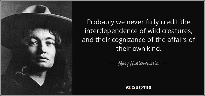 Probably we never fully credit the interdependence of wild creatures, and their cognizance of the affairs of their own kind. - Mary Hunter Austin
