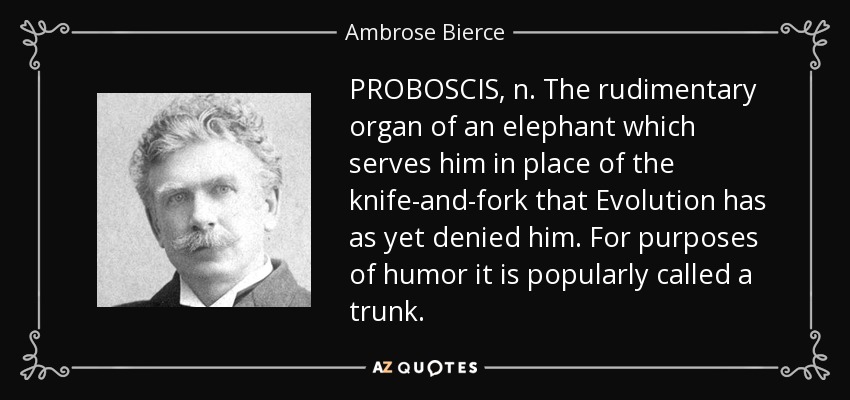 PROBOSCIS, n. The rudimentary organ of an elephant which serves him in place of the knife-and-fork that Evolution has as yet denied him. For purposes of humor it is popularly called a trunk. - Ambrose Bierce