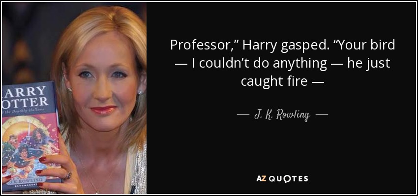 Professor,” Harry gasped. “Your bird — I couldn’t do anything — he just caught fire — - J. K. Rowling