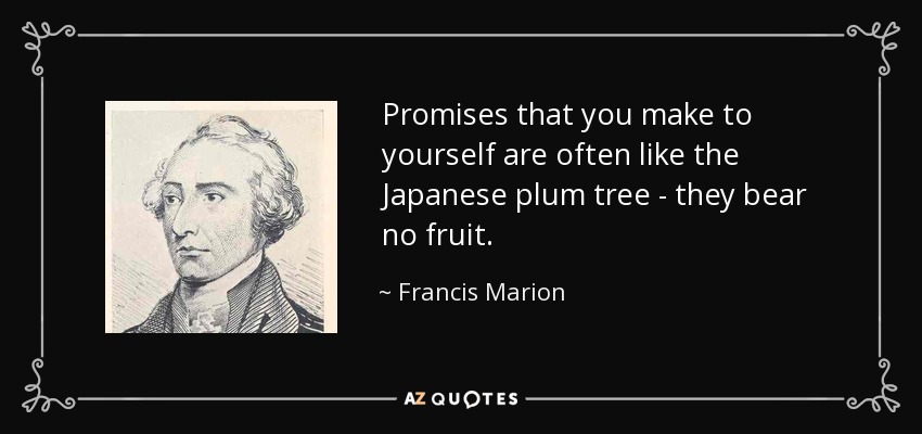 Promises that you make to yourself are often like the Japanese plum tree - they bear no fruit. - Francis Marion