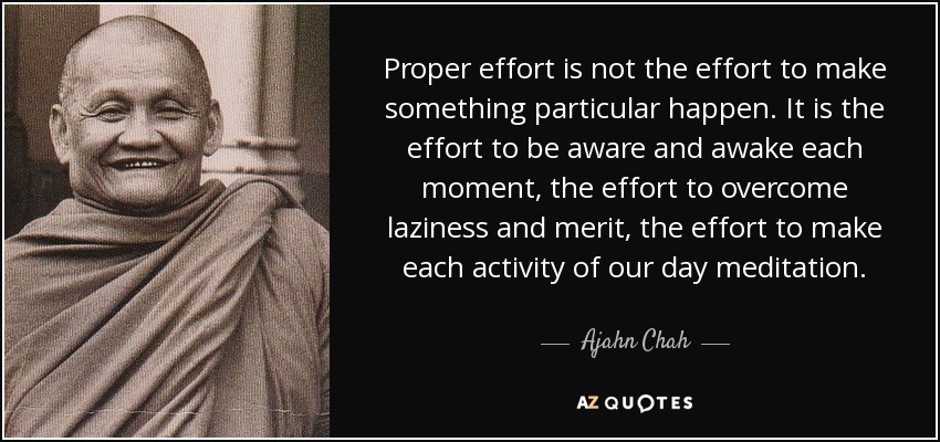 Proper effort is not the effort to make something particular happen. It is the effort to be aware and awake each moment, the effort to overcome laziness and merit, the effort to make each activity of our day meditation. - Ajahn Chah