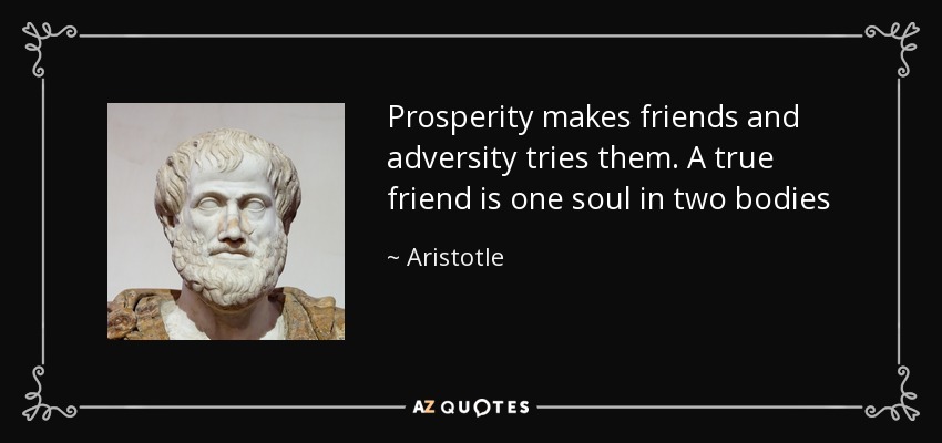 Prosperity makes friends and adversity tries them. A true friend is one soul in two bodies - Aristotle