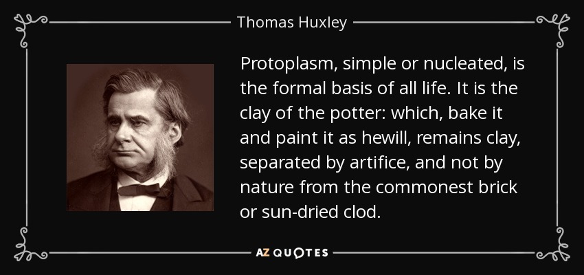 Protoplasm, simple or nucleated, is the formal basis of all life. It is the clay of the potter: which, bake it and paint it as hewill, remains clay, separated by artifice, and not by nature from the commonest brick or sun-dried clod. - Thomas Huxley