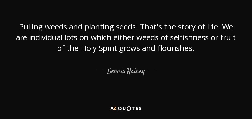 Pulling weeds and planting seeds. That's the story of life. We are individual lots on which either weeds of selfishness or fruit of the Holy Spirit grows and flourishes. - Dennis Rainey