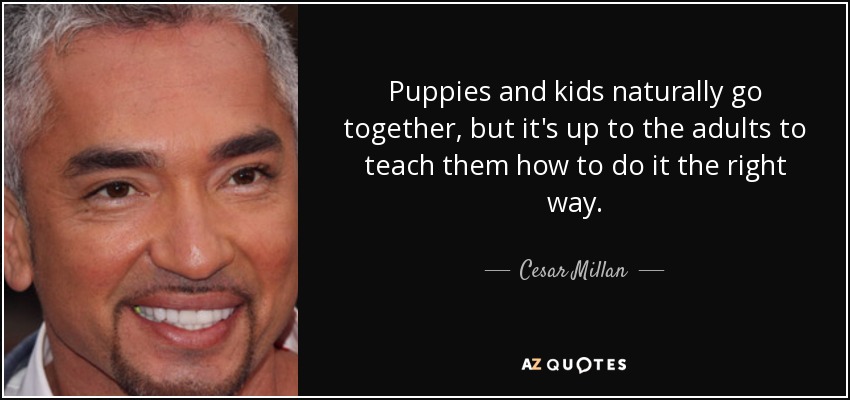 Puppies and kids naturally go together, but it's up to the adults to teach them how to do it the right way. - Cesar Millan