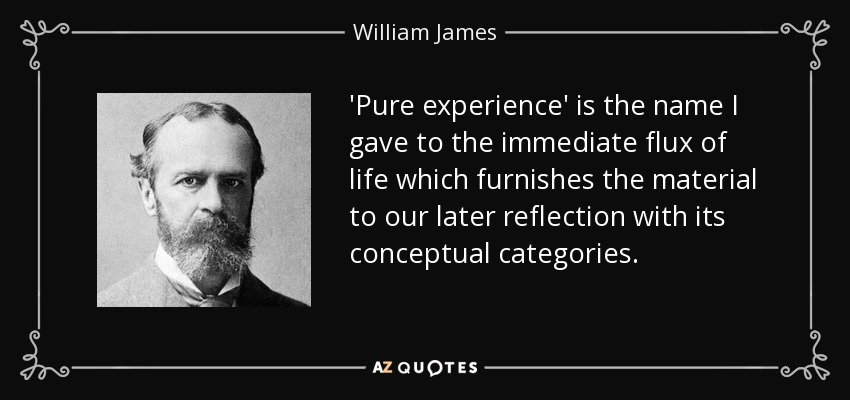'Pure experience' is the name I gave to the immediate flux of life which furnishes the material to our later reflection with its conceptual categories. - William James