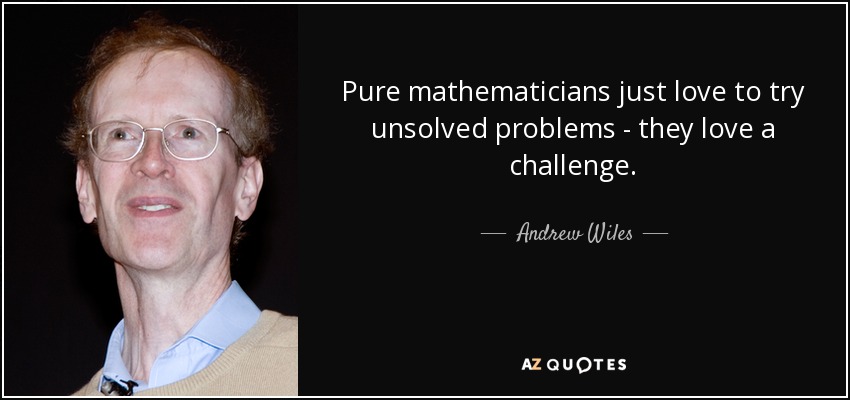 Pure mathematicians just love to try unsolved problems - they love a challenge. - Andrew Wiles