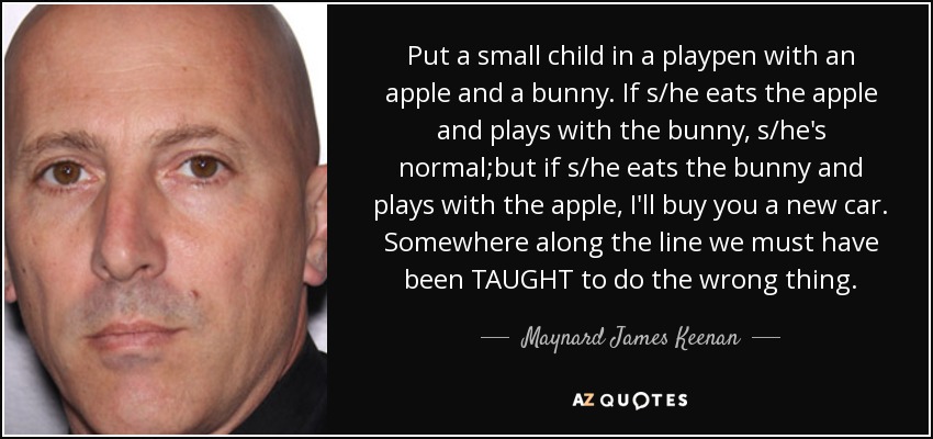 Put a small child in a playpen with an apple and a bunny. If s/he eats the apple and plays with the bunny, s/he's normal;but if s/he eats the bunny and plays with the apple, I'll buy you a new car. Somewhere along the line we must have been TAUGHT to do the wrong thing. - Maynard James Keenan