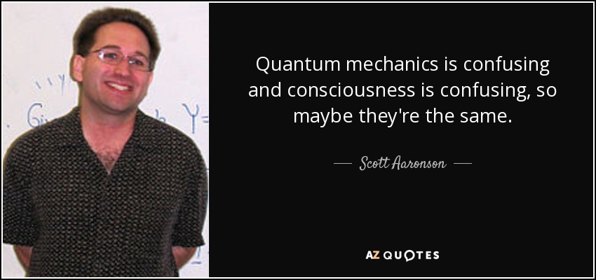 Quantum mechanics is confusing and consciousness is confusing, so maybe they're the same. - Scott Aaronson