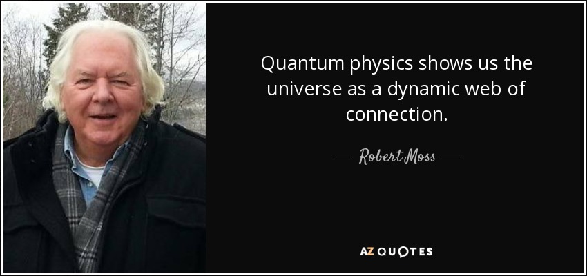 Quantum physics shows us the universe as a dynamic web of connection. - Robert Moss