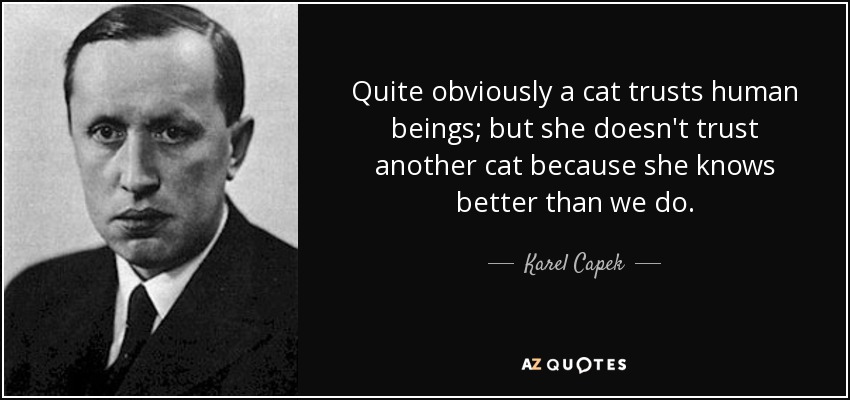 Quite obviously a cat trusts human beings; but she doesn't trust another cat because she knows better than we do. - Karel Capek