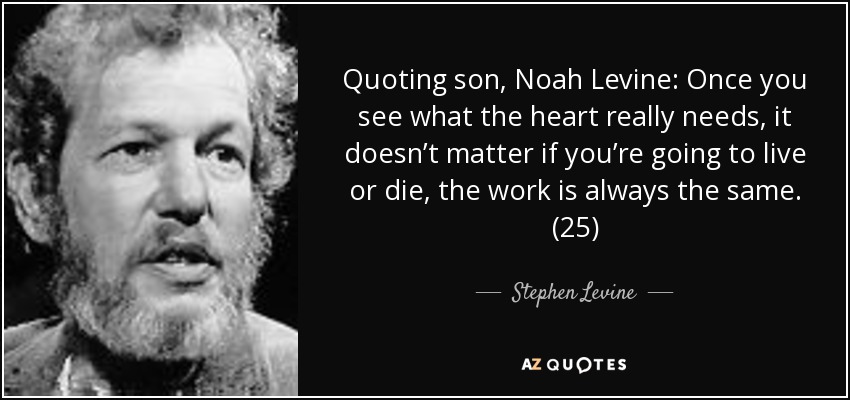 Quoting son, Noah Levine: Once you see what the heart really needs, it doesn’t matter if you’re going to live or die, the work is always the same. (25) - Stephen Levine