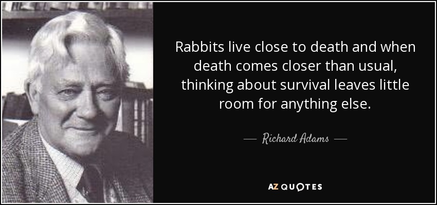 Rabbits live close to death and when death comes closer than usual, thinking about survival leaves little room for anything else. - Richard Adams