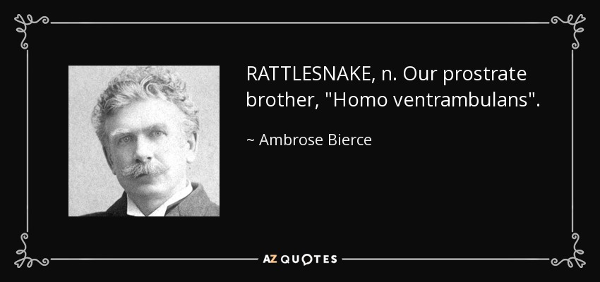RATTLESNAKE, n. Our prostrate brother, 