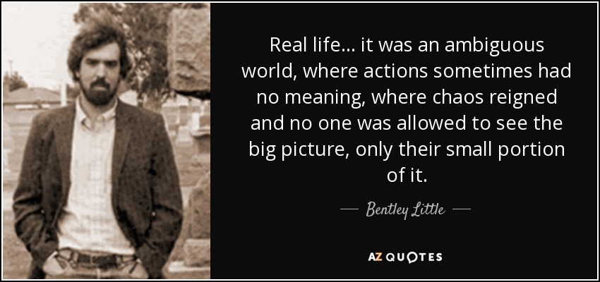 Real life ... it was an ambiguous world, where actions sometimes had no meaning, where chaos reigned and no one was allowed to see the big picture, only their small portion of it. - Bentley Little