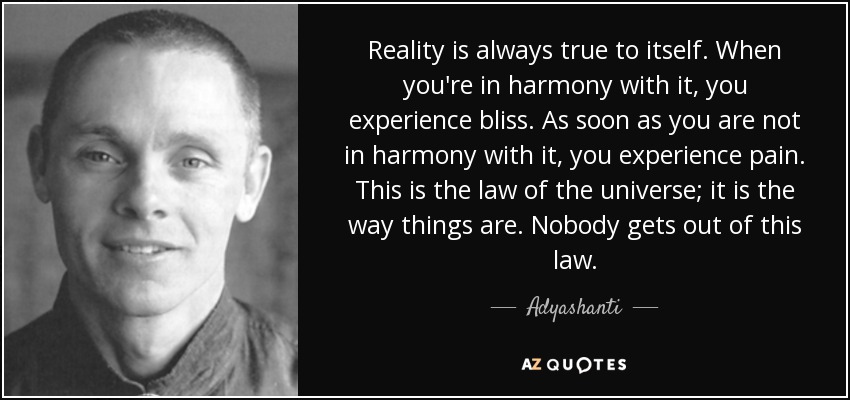 Reality is always true to itself. When you're in harmony with it, you experience bliss. As soon as you are not in harmony with it, you experience pain. This is the law of the universe; it is the way things are. Nobody gets out of this law. - Adyashanti