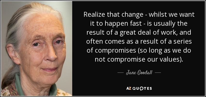 Realize that change - whilst we want it to happen fast - is usually the result of a great deal of work, and often comes as a result of a series of compromises (so long as we do not compromise our values). - Jane Goodall