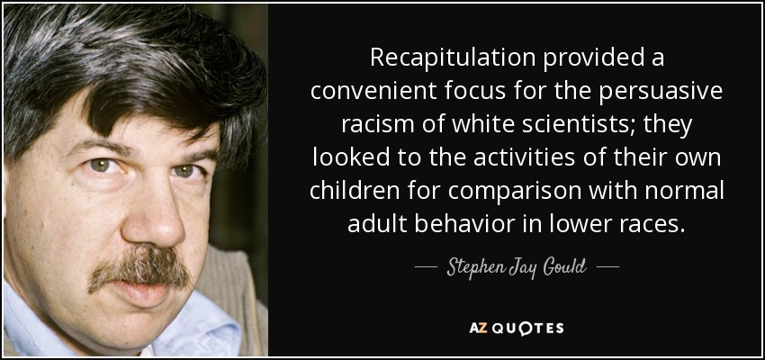 Recapitulation provided a convenient focus for the persuasive racism of white scientists; they looked to the activities of their own children for comparison with normal adult behavior in lower races. - Stephen Jay Gould