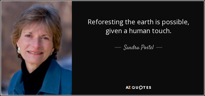 Reforesting the earth is possible, given a human touch. - Sandra Postel