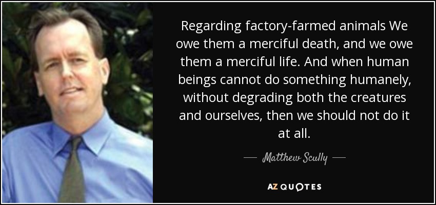 Regarding factory-farmed animals We owe them a merciful death, and we owe them a merciful life. And when human beings cannot do something humanely, without degrading both the creatures and ourselves, then we should not do it at all. - Matthew Scully