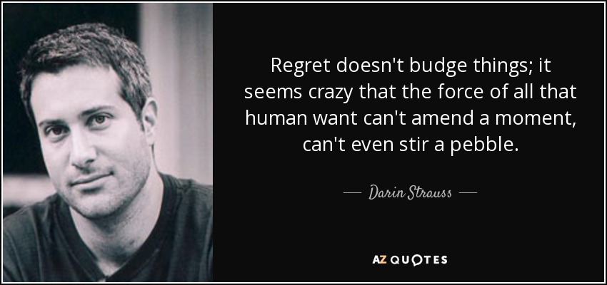 Regret doesn't budge things; it seems crazy that the force of all that human want can't amend a moment, can't even stir a pebble. - Darin Strauss
