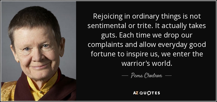Rejoicing in ordinary things is not sentimental or trite. It actually takes guts. Each time we drop our complaints and allow everyday good fortune to inspire us, we enter the warrior's world. - Pema Chodron