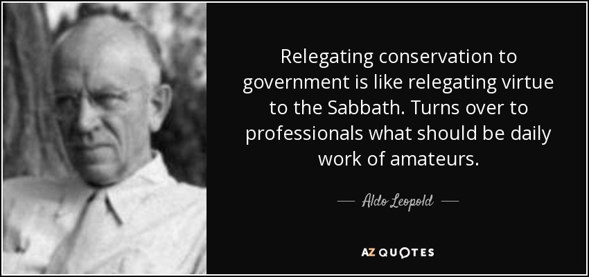 Relegating conservation to government is like relegating virtue to the Sabbath. Turns over to professionals what should be daily work of amateurs . - Aldo Leopold