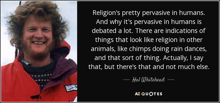 Religion's pretty pervasive in humans. And why it's pervasive in humans is debated a lot. There are indications of things that look like religion in other animals, like chimps doing rain dances, and that sort of thing. Actually, I say that, but there's that and not much else. - Hal Whitehead