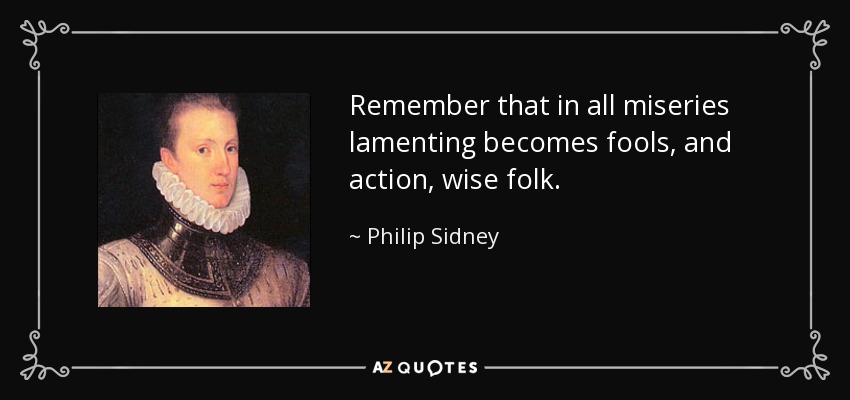 Remember that in all miseries lamenting becomes fools, and action, wise folk. - Philip Sidney