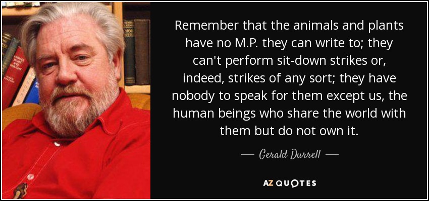 Remember that the animals and plants have no M.P. they can write to; they can't perform sit-down strikes or, indeed, strikes of any sort; they have nobody to speak for them except us, the human beings who share the world with them but do not own it. - Gerald Durrell