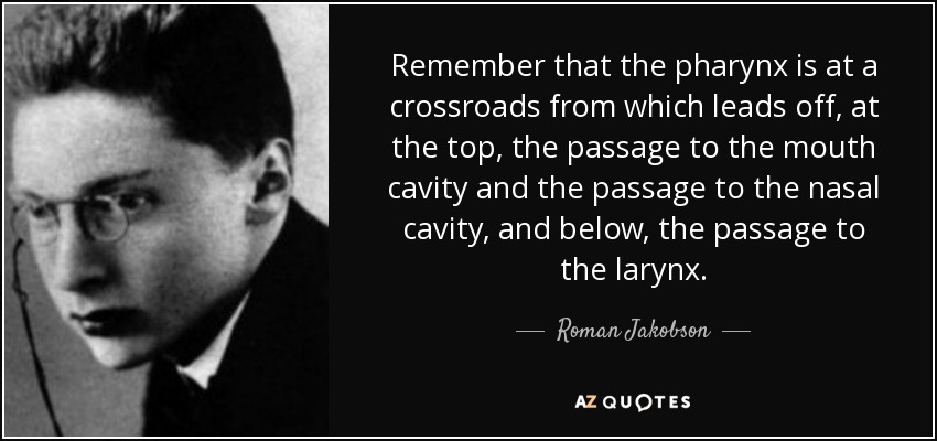 Remember that the pharynx is at a crossroads from which leads off, at the top, the passage to the mouth cavity and the passage to the nasal cavity, and below, the passage to the larynx. - Roman Jakobson