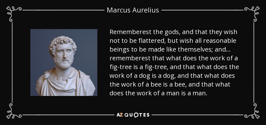 Rememberest the gods, and that they wish not to be flattered, but wish all reasonable beings to be made like themselves; and... rememberest that what does the work of a fig-tree is a fig-tree, and that what does the work of a dog is a dog, and that what does the work of a bee is a bee, and that what does the work of a man is a man. - Marcus Aurelius