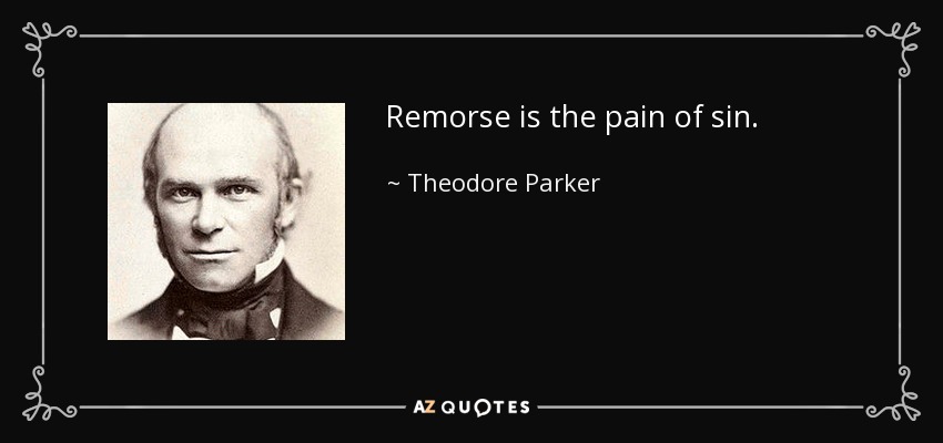 Remorse is the pain of sin. - Theodore Parker