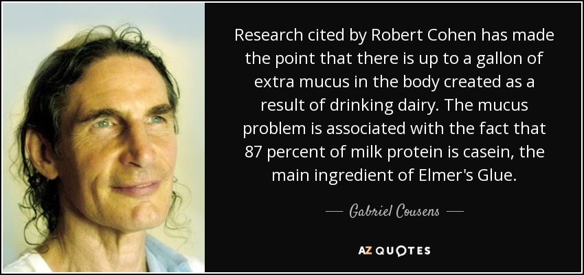 Research cited by Robert Cohen has made the point that there is up to a gallon of extra mucus in the body created as a result of drinking dairy. The mucus problem is associated with the fact that 87 percent of milk protein is casein, the main ingredient of Elmer's Glue. - Gabriel Cousens
