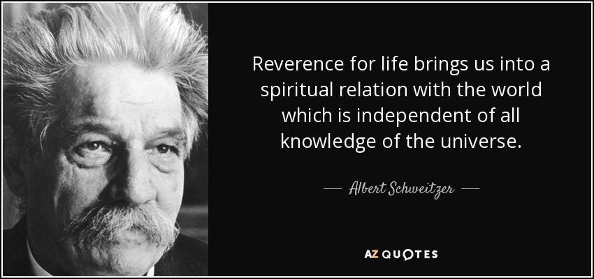 Reverence for life brings us into a spiritual relation with the world which is independent of all knowledge of the universe. - Albert Schweitzer