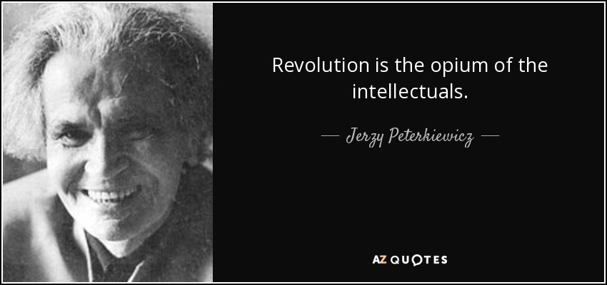Revolution is the opium of the intellectuals. - Jerzy Peterkiewicz