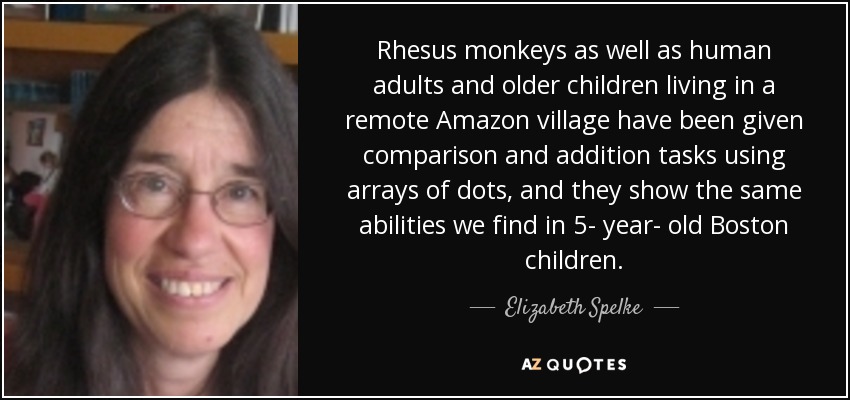 Rhesus monkeys as well as human adults and older children living in a remote Amazon village have been given comparison and addition tasks using arrays of dots, and they show the same abilities we find in 5- year- old Boston children. - Elizabeth Spelke