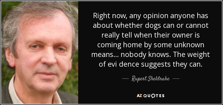 Right now, any opinion anyone has about whether dogs can or cannot really tell when their owner is coming home by some unknown means... nobody knows. The weight of evi dence suggests they can. - Rupert Sheldrake
