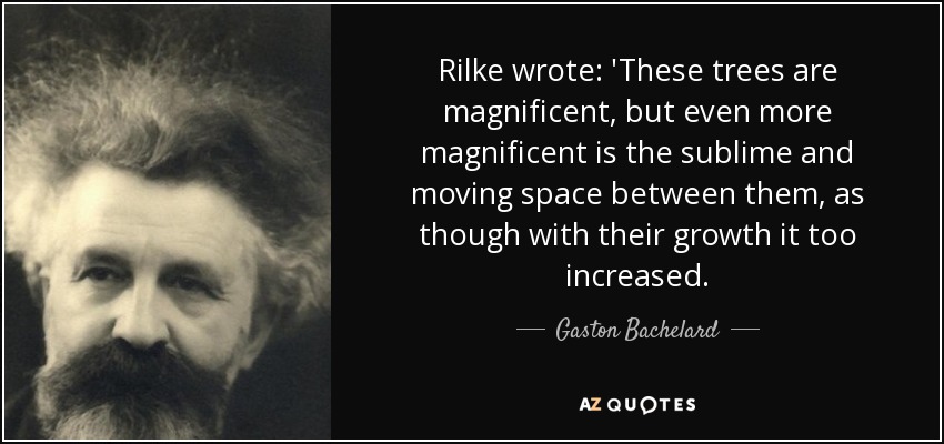 Rilke wrote: 'These trees are magnificent, but even more magnificent is the sublime and moving space between them, as though with their growth it too increased. - Gaston Bachelard