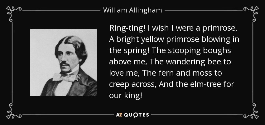 Ring-ting! I wish I were a primrose, A bright yellow primrose blowing in the spring! The stooping boughs above me, The wandering bee to love me, The fern and moss to creep across, And the elm-tree for our king! - William Allingham