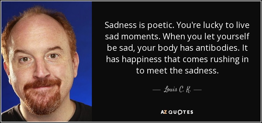 Sadness is poetic. You're lucky to live sad moments. When you let yourself be sad, your body has antibodies. It has happiness that comes rushing in to meet the sadness. - Louis C. K.